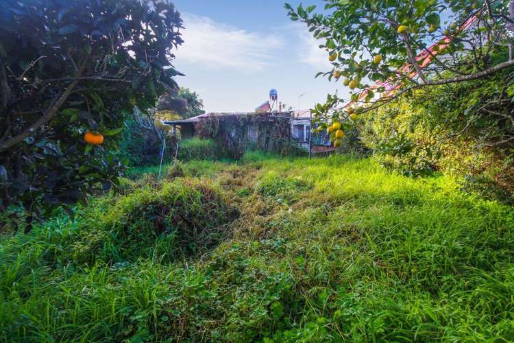 12 Thorley Street Mount Eden_3