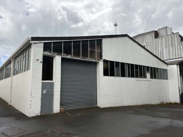 5a Fenton Street Mt Eden_1