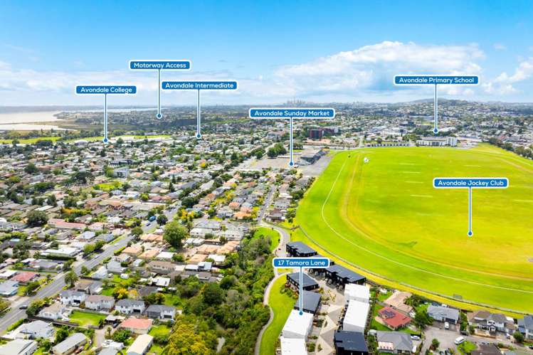 17 Tamora Lane Avondale_9