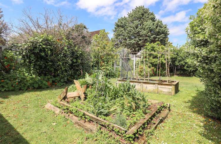 5 Hanna Street Te Aroha_13