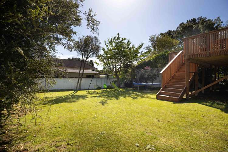 43 Essex Street Vogeltown_16