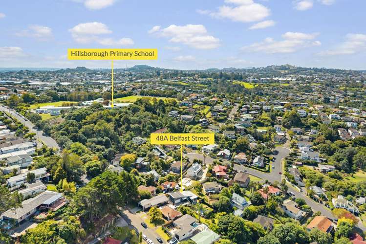 48a Belfast Street Hillsborough_34