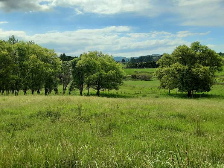 Oneriri Road Kaiwaka Kaipara Houses for Sale One Roof