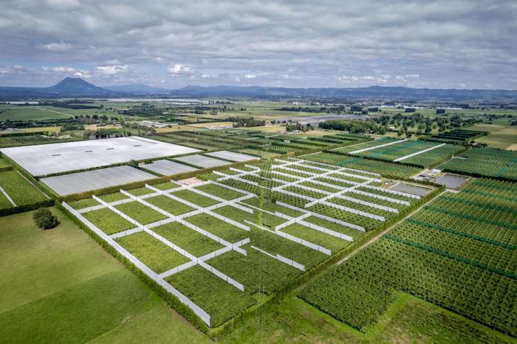 187 Western Drain Road Edgecumbe_24