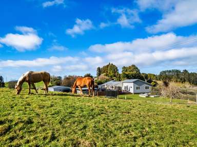 1095 Taumata Road_2