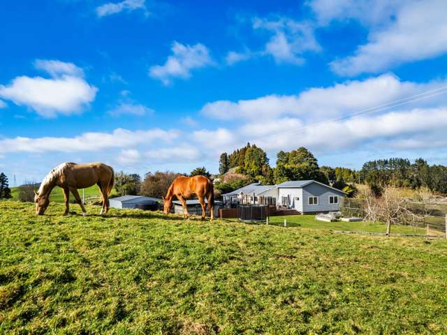 1095 Taumata Road Omanawa_3