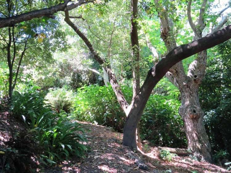 70 Woodills Road Akaroa_21