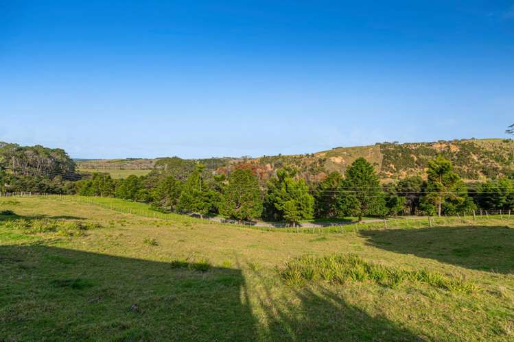 499 Shelly Beach Road South Head_29