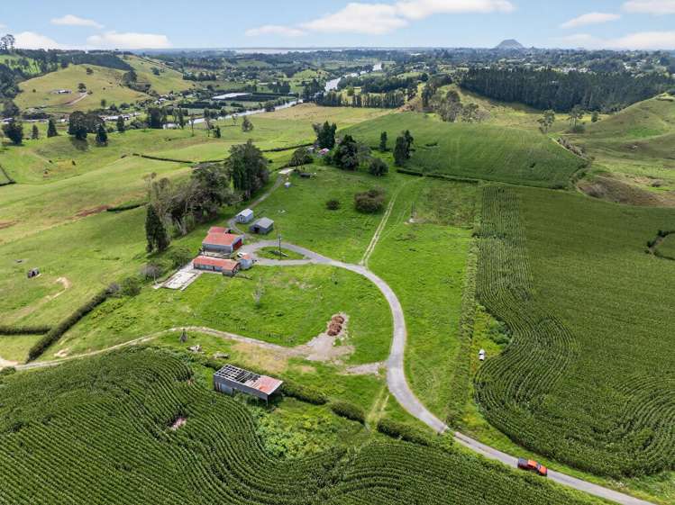 764 SH 29 Ferncliffe Farm Tauriko_13
