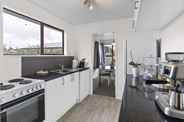 3 Dublin Street Martinborough_3