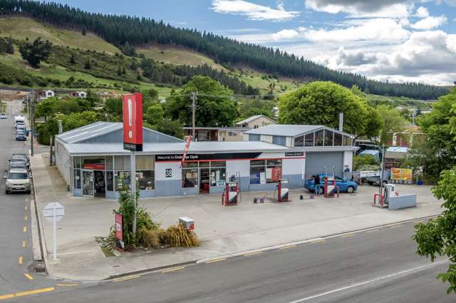 38 Sunderland Street Clyde_3