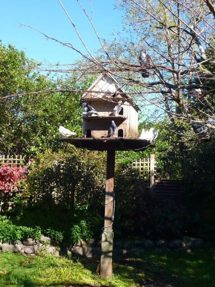 16 Victoria Street Waihi_9