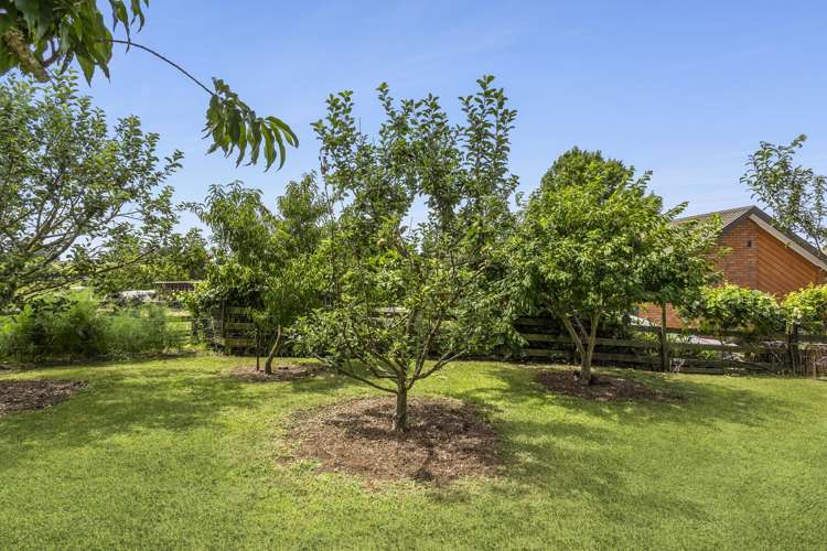 968A Tauwhare Road Matangi_25