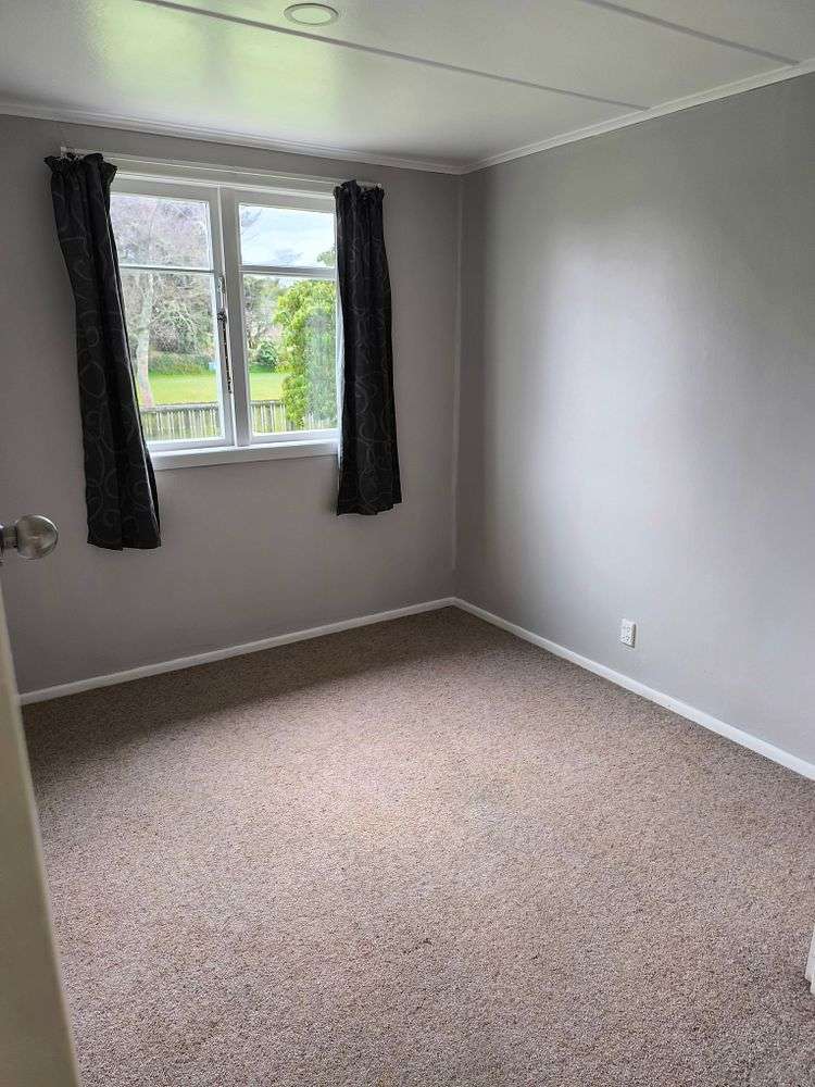 161 Balmoral Drive Tokoroa_6