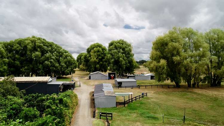 99 Marychurch Road Pukemoremore_15