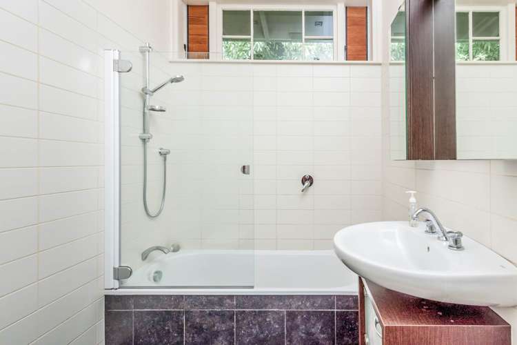 15 Mount Pleasant Road Mount Eden_7