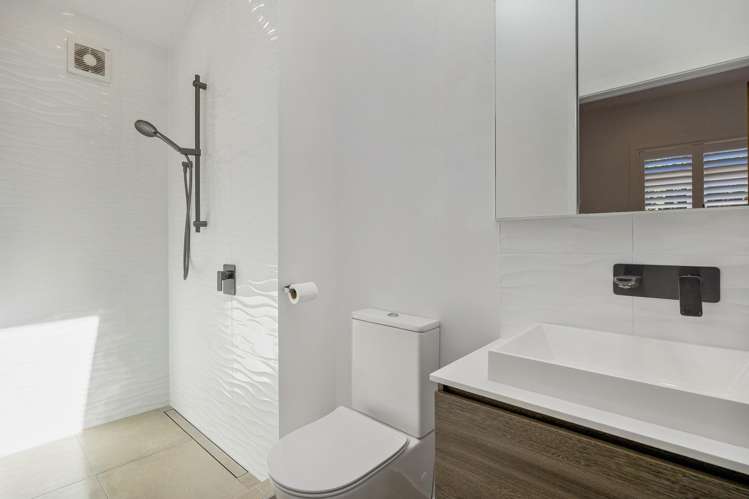 17 Linwood Avenue Mount Albert_13