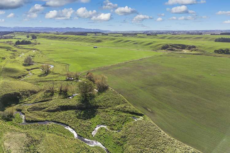 Ngaruru Road Ongaonga_2