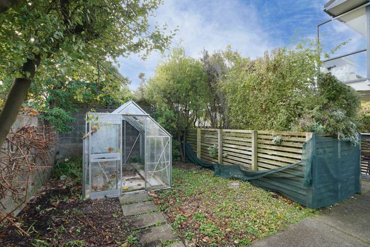 4 Kauri Terrace Hargest_24