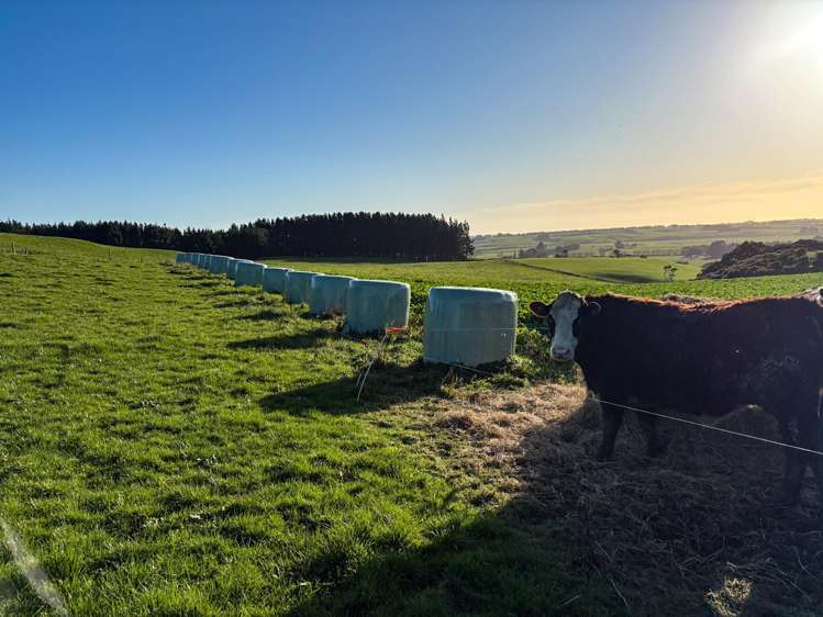 92 Carnie Road Mataura Island_17