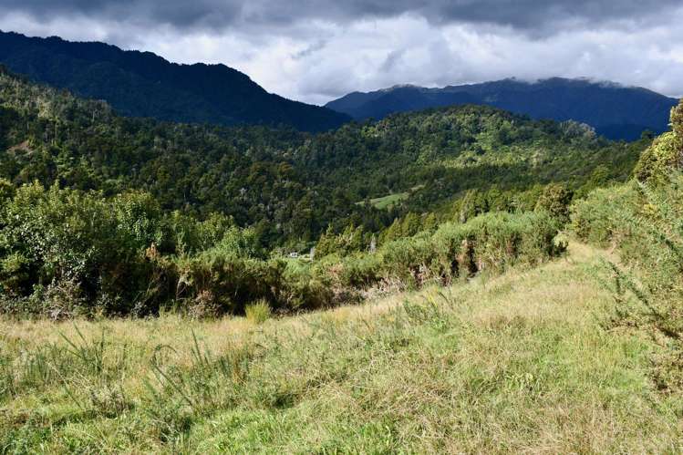 40Ha Block State Highway 67 Mokihinui_23