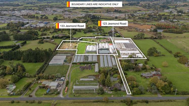 133 Jesmond Road Drury_8