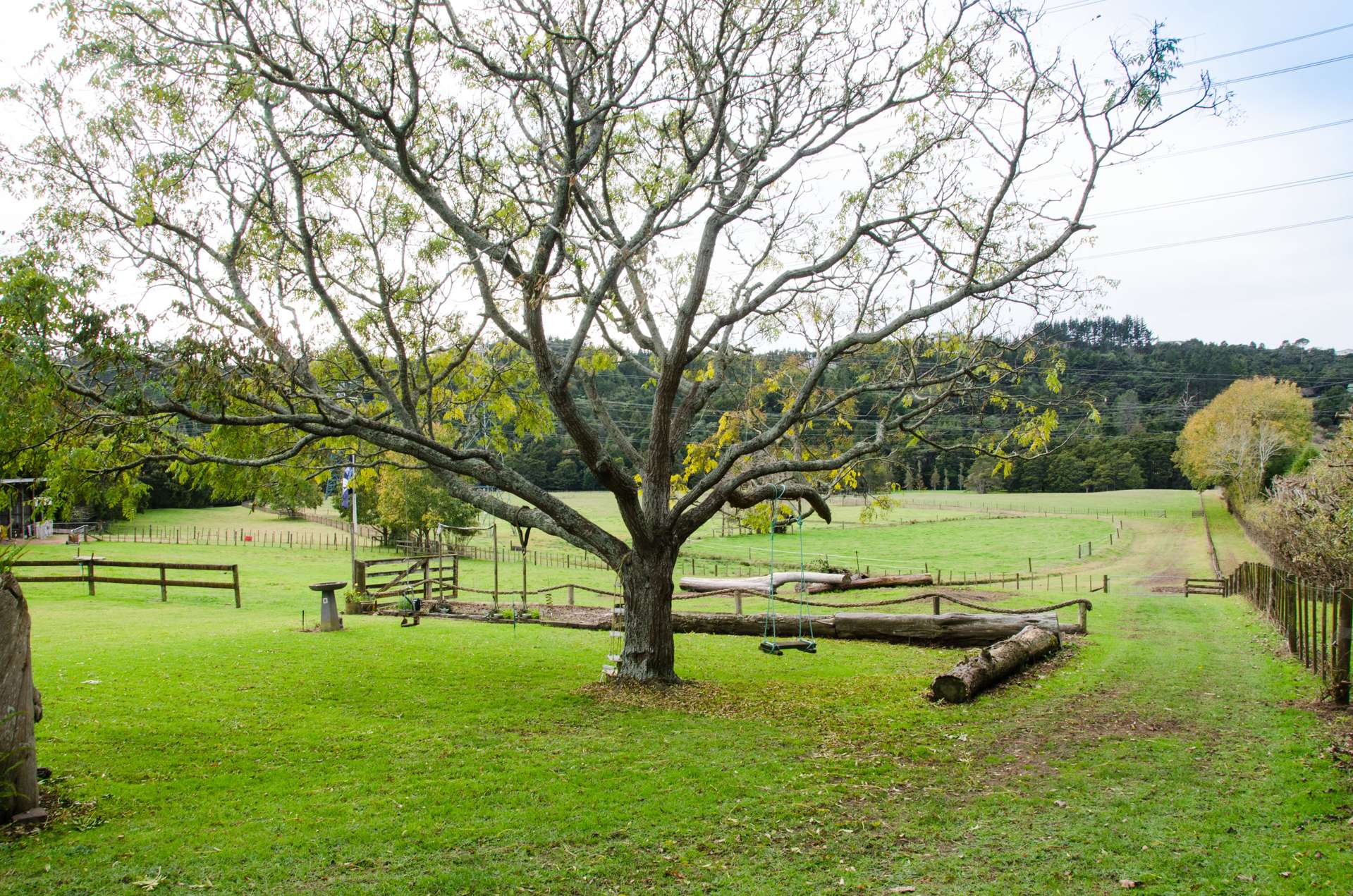 104 Matua Road Huapai_0