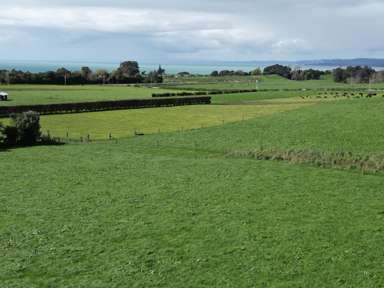 1028 Main North Road_2