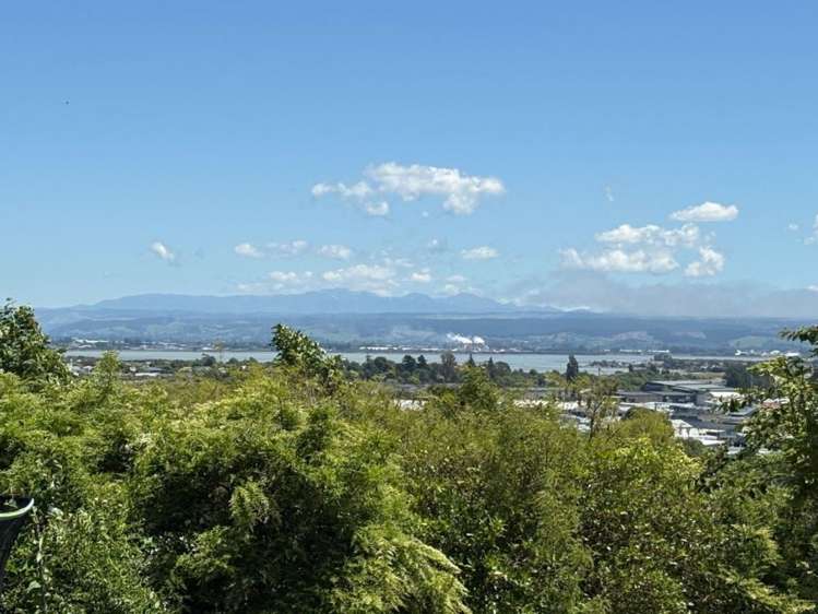 20A Greenhill Road Wakatu_19