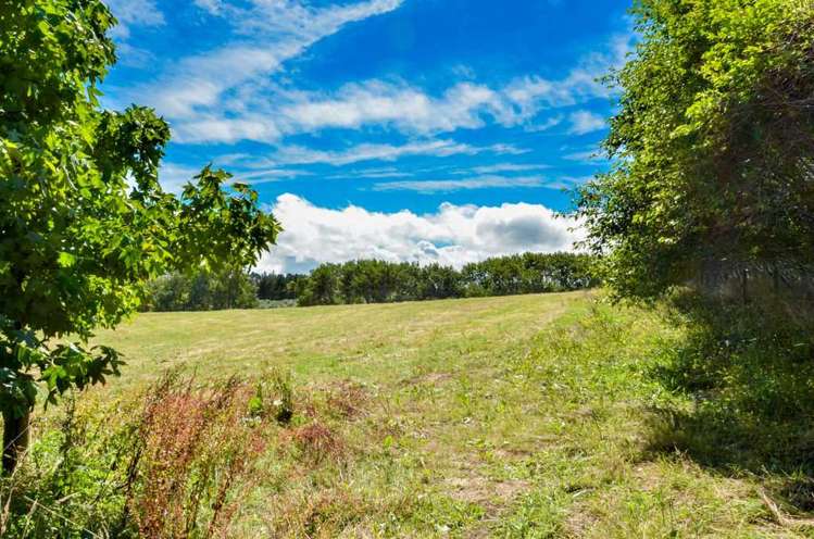 273 Forestry Road Waitoki_53