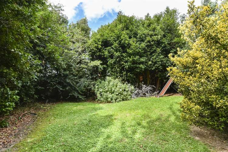 40 Selwyn Crescent Forrest Hill_23