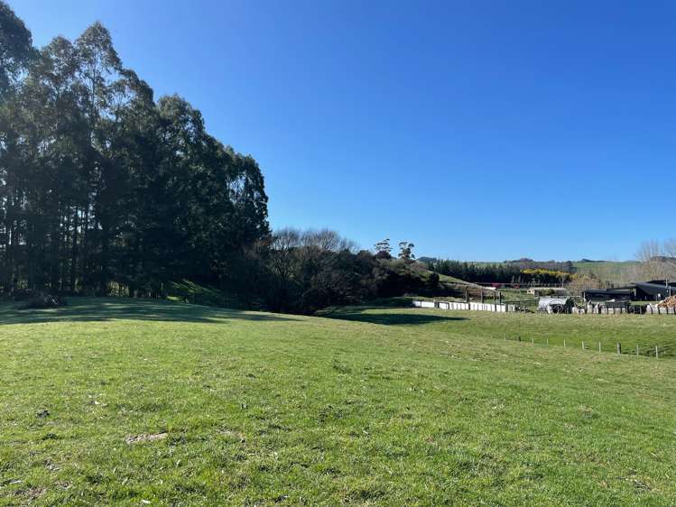 Lot 1and2 324 Homewood Road Waipawa_19