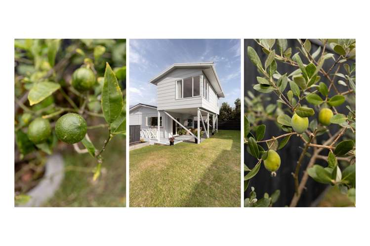 113b Ranch Road Mount Maunganui_25