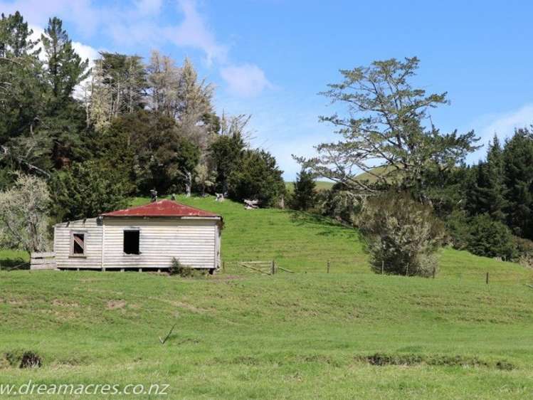 242 Owae Road Russell Surrounds_7