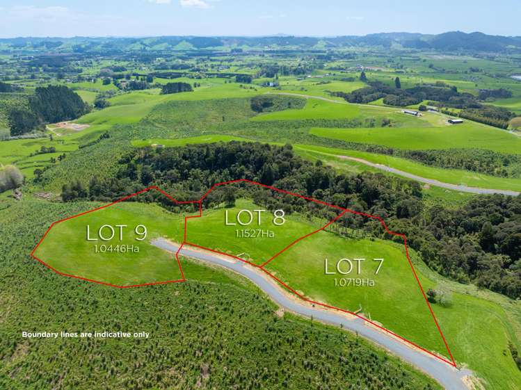 36 Munros Road Clevedon_5