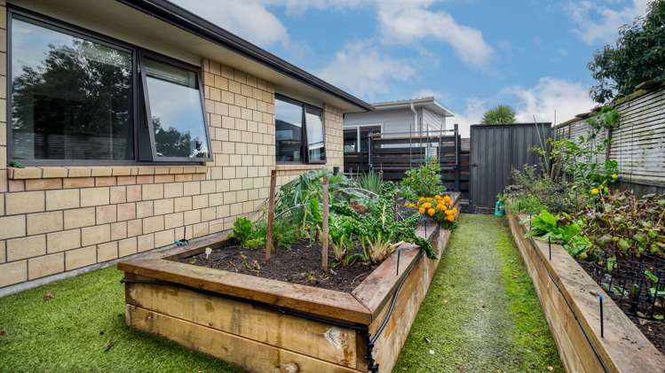 62b Pohutu Street Whakatane_15
