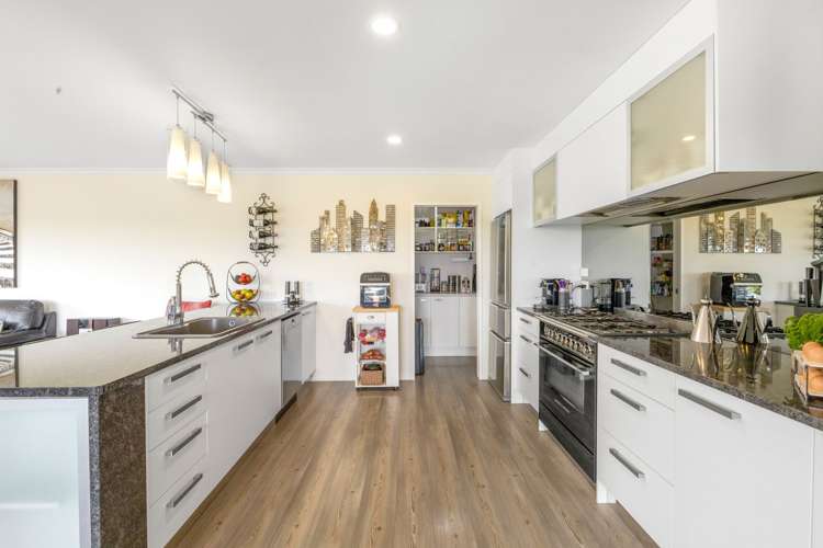 98 Pitt Road Hillsborough_18