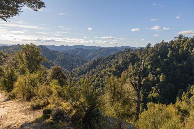 A canopy untouched by time - receivership sale