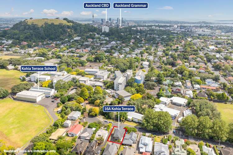 16a Kohia Terrace Epsom_34