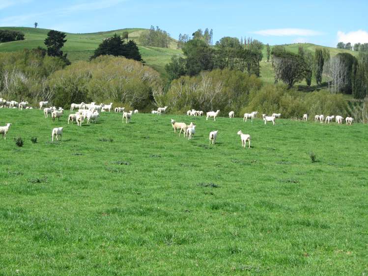 2262 Otautau Tuatapere Road Tuatapere_25