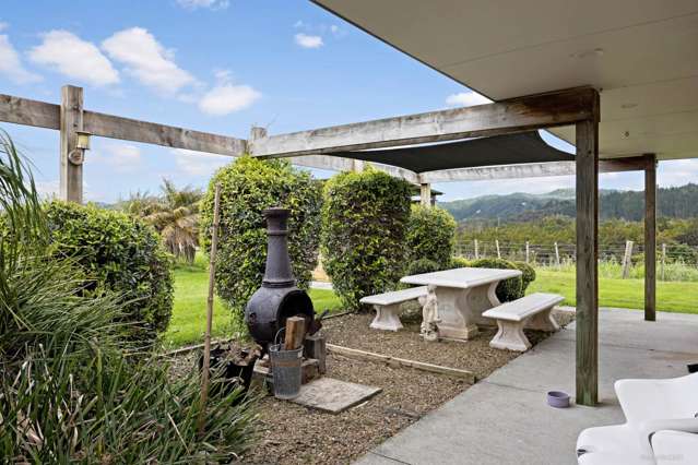 131 Dennis Road Kaipara Flats_2