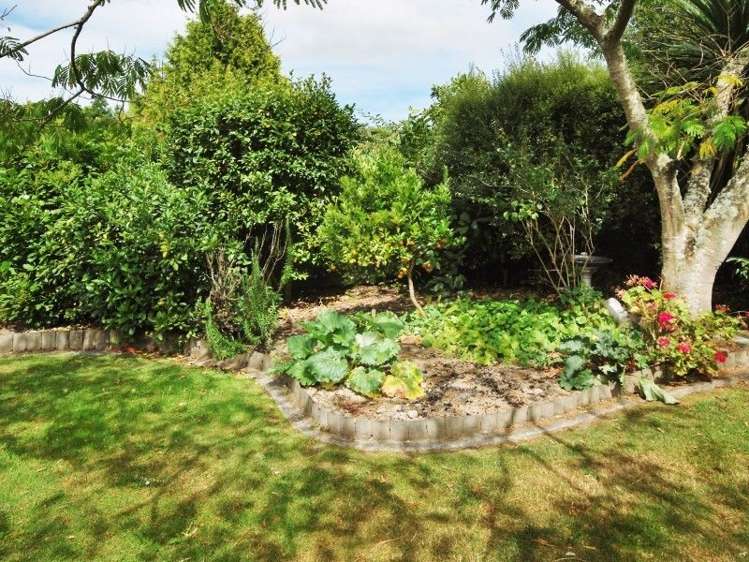 60 Reading Street Greytown_18