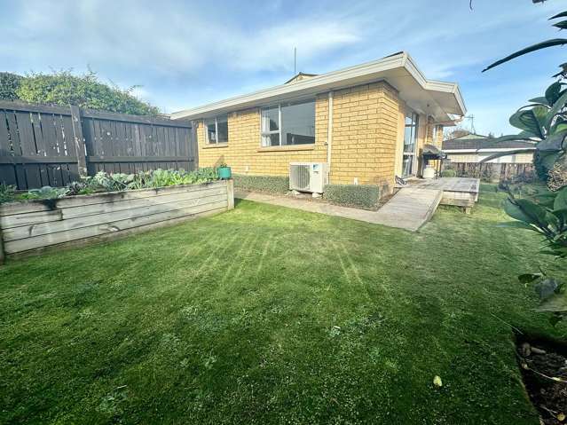 14a Millar Place Nawton_2