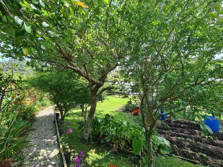 1225 Rings Road Coromandel_15