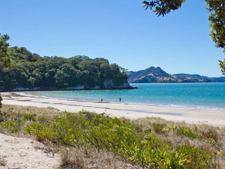 9 Marine Parade Cooks Beach_24