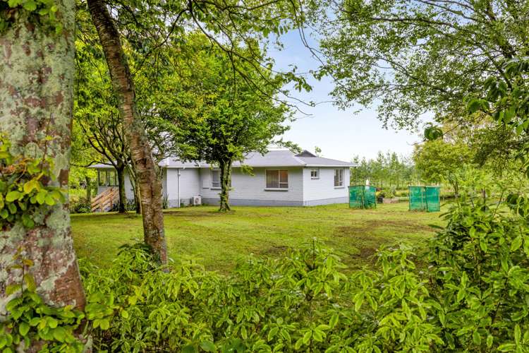 306 Upper Stuart Road Eltham_5