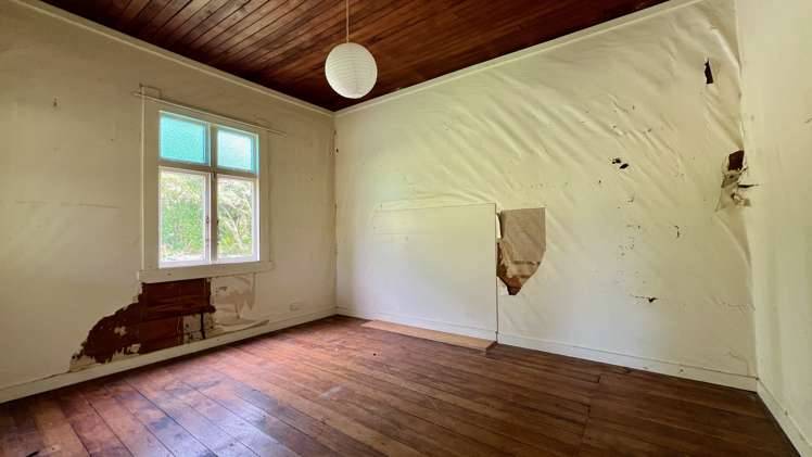 37 Nikau Road, State Highway 67 Hector_21
