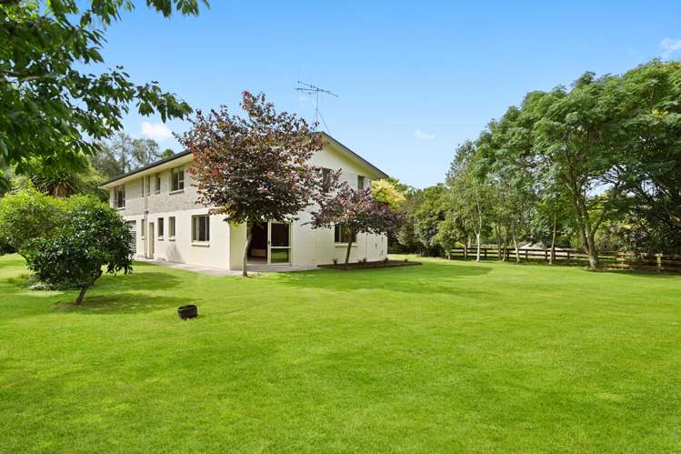 41 Poplar Lane Matangi_7