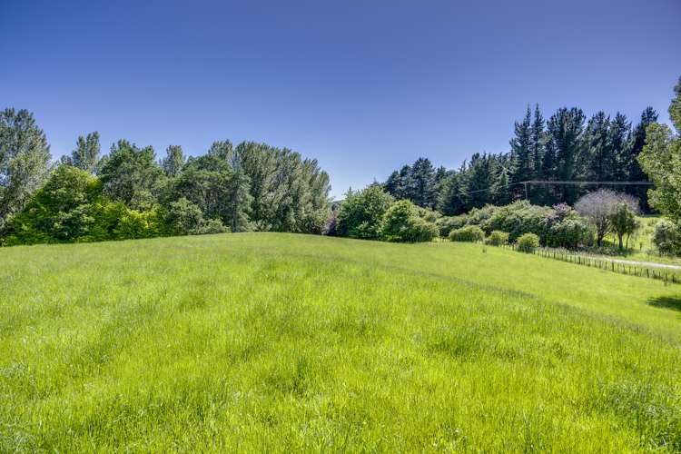 2412 Kahuranaki Road Elsthorpe_7