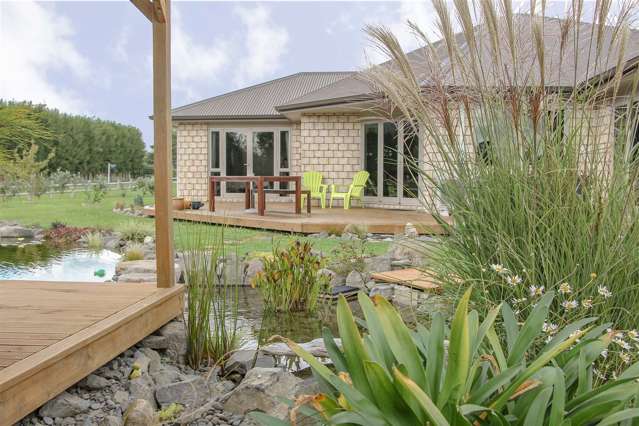 4 Barry Lane Te Aroha_1